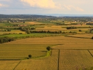 Corn fields in the Isonzo plain