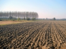 Plowed land